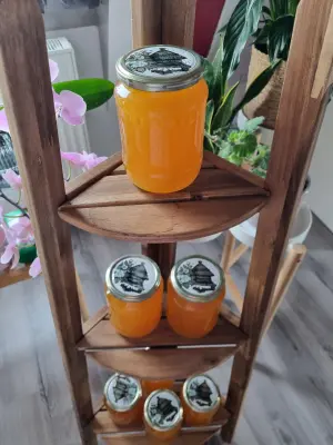 Productfoto 100% Biologische Honing
