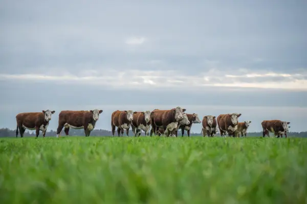 Afbeelding Boerderijwinkel Oer de Wiel