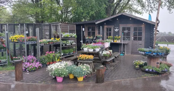 Afbeelding Boerderijwinkel Koemkolk