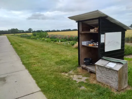 Afbeelding Plukpolder
