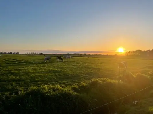Afbeelding Prinshoeve boerderijvlees | Odijk
