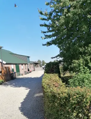 Afbeelding Schapenboerderij Lopikerwaard
