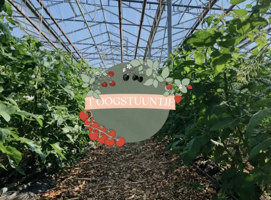 Afbeelding 't Oogstuuntje