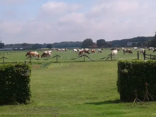 Afbeelding 't Schuurke van het Buurke