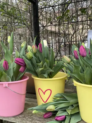 Afbeelding Tuin, Pluktuin & Pauzeplaats