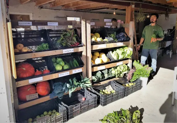 Afbeelding Tuinderij Bodemliefde