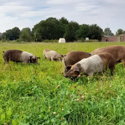Afbeelding Tuinderij de drie Berken