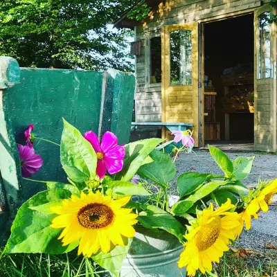 Afbeelding Tuinderij Hofstede Reigersberg
