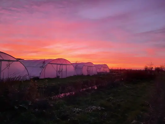 Afbeelding Tuinderij Land in Zicht