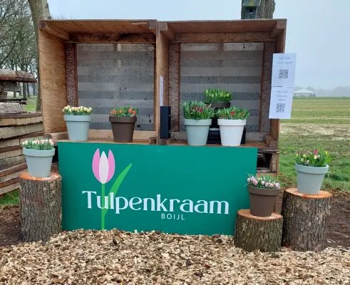 Afbeelding Tulpenkraam boijl