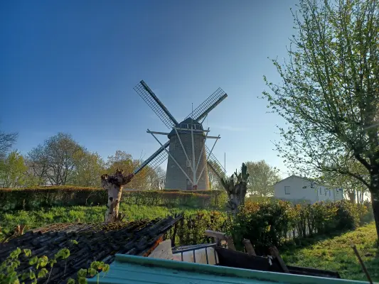 Afbeelding Van Tienhovenmolen