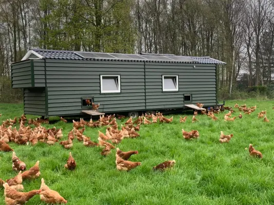 Afbeelding Verse eieren en boerderijmelk Eersel
