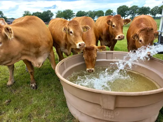 Afbeelding Boerderijwinkel KempenLust