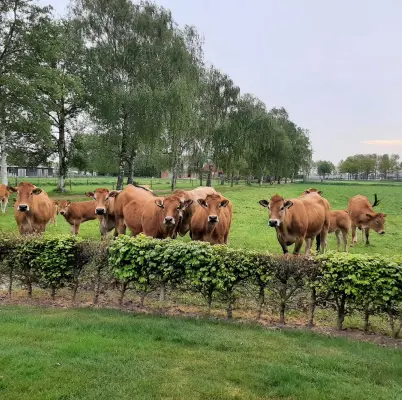 Afbeelding Vleesboerderijwinkel Mangelaars