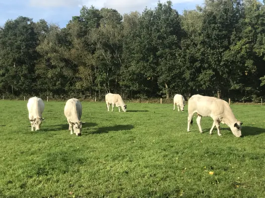 Afbeelding Boerderijwinkel Vleesveehouderij ‘t Avondrood
