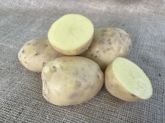 Productfoto Patat aardappelen, 5 kilo