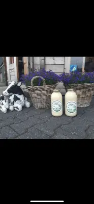 Productfoto Vanille vla