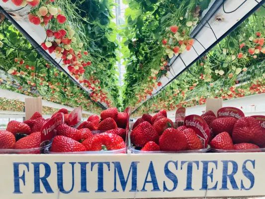 Afbeelding Vriend Aardbeien