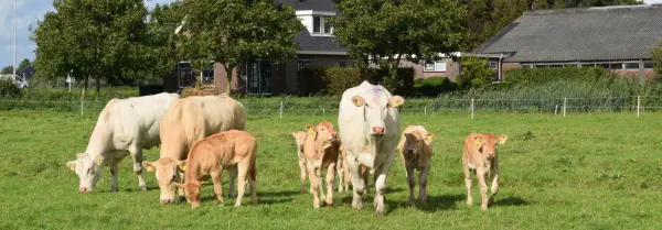 Afbeelding Waterlant's Weelde - Natuurvlees.nl
