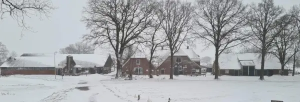 Afbeelding Wessels