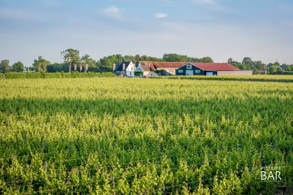 Afbeelding Wijnhoeve De Kleine Schorre