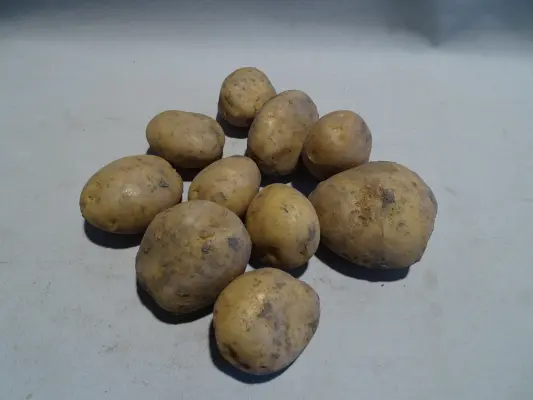Productfoto Frieslanders 10 kilo