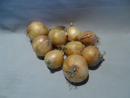Productfoto Uien 2 kilo
