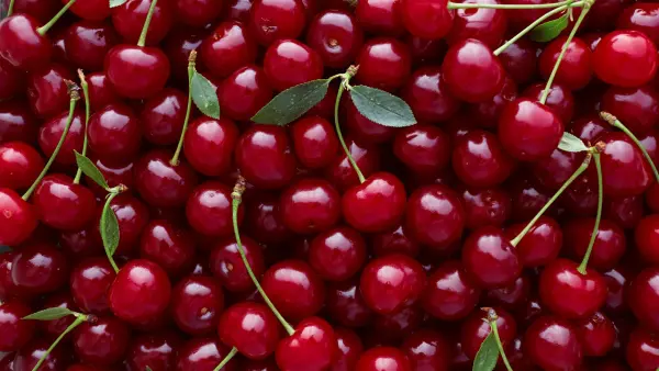 Afbeelding Zelfplukfruittuin