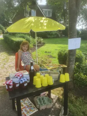 Afbeelding Zonneweelde