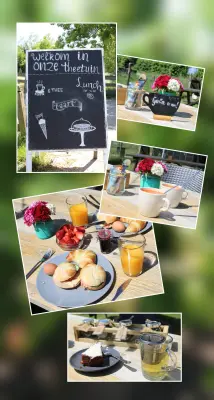 Afbeelding Zorgboerderij de Noordhoek, theetuin, pluktuin, groente