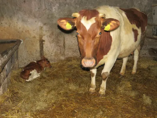 Afbeelding Zorgboerderij Tusken Bosk en Mar
