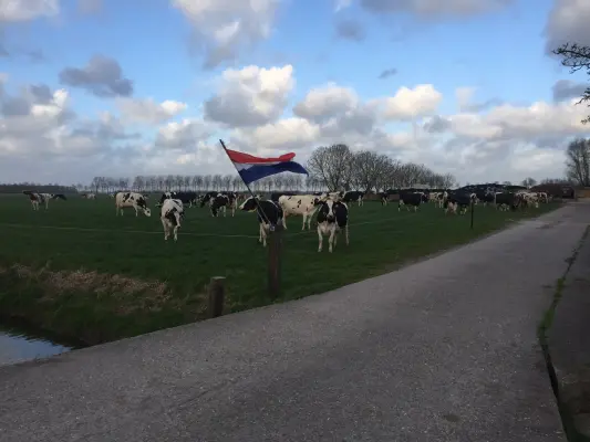 Afbeelding Zuivelboerderij de Driesprong