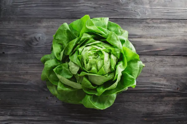 Productfoto Biologische kropsla