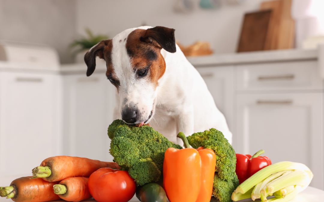 Wat mag je hond wel en niet mee-eten van verse restjes?