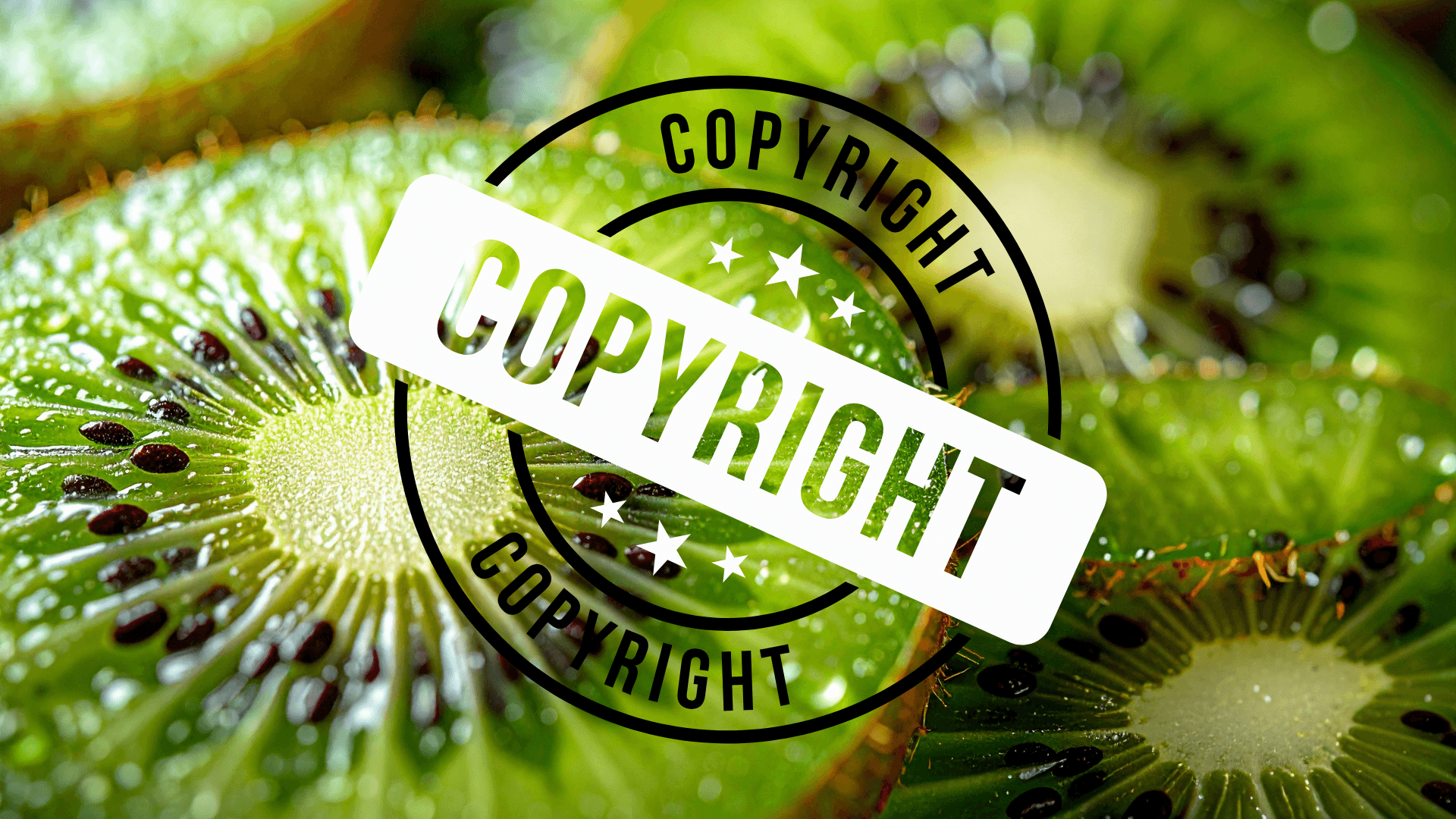 LEKKERDER Copyright