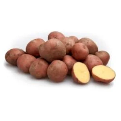 Productfoto Bildstar