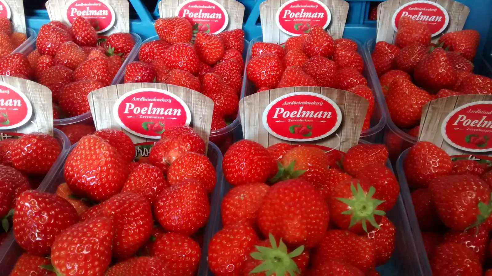 Aardbeien en asperge boerderij Poelman Boerderijwinkel en Boerderij in Zevenhuizen