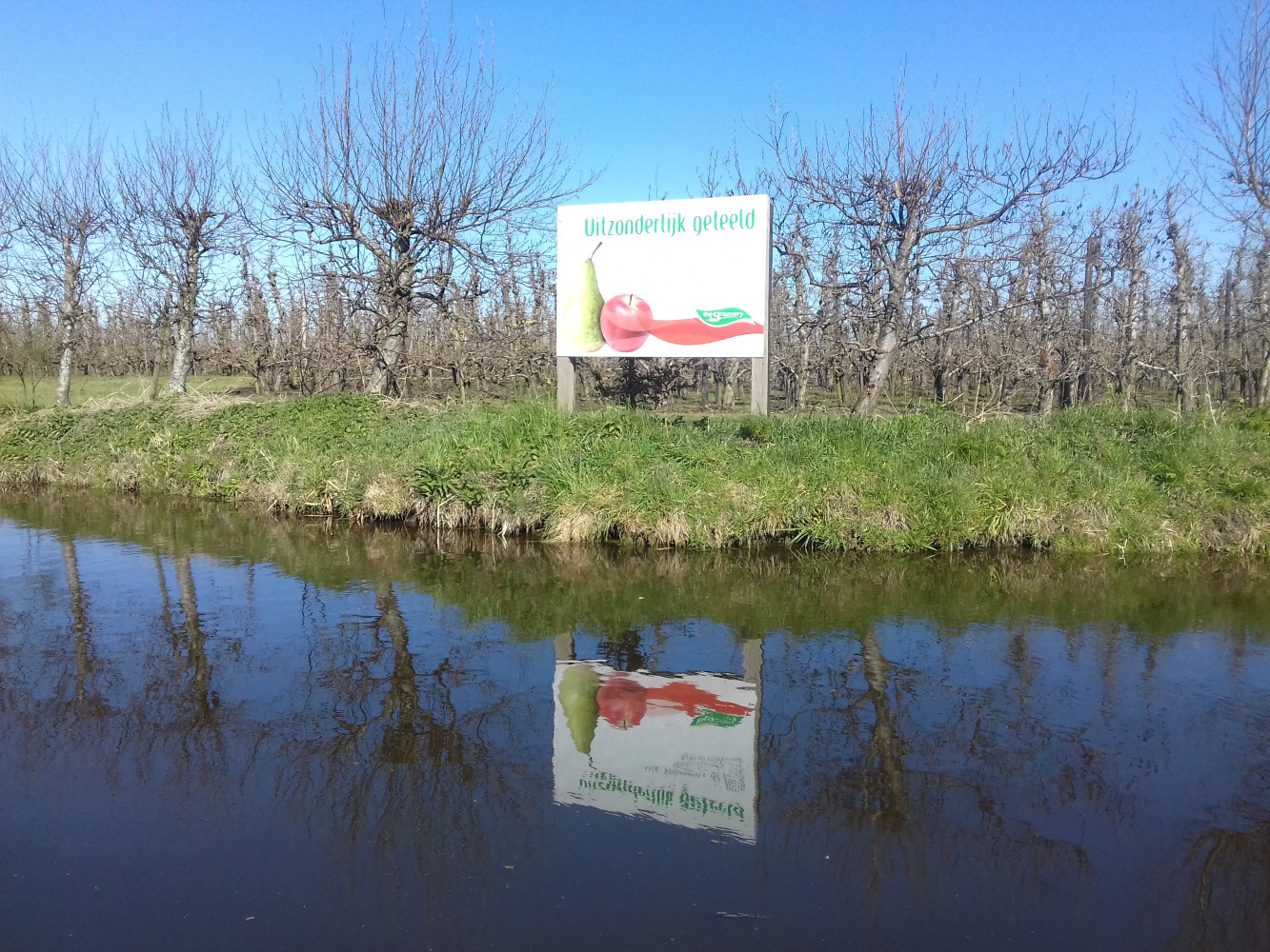 Hoofdafbeelding van Appelboer Leerbroek