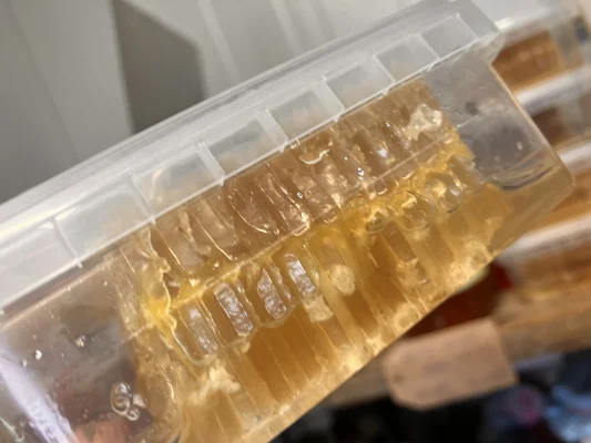 Productfoto Zomer en acacia honing vd raat