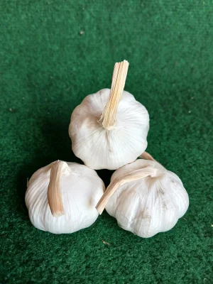 Productfoto Knoflook