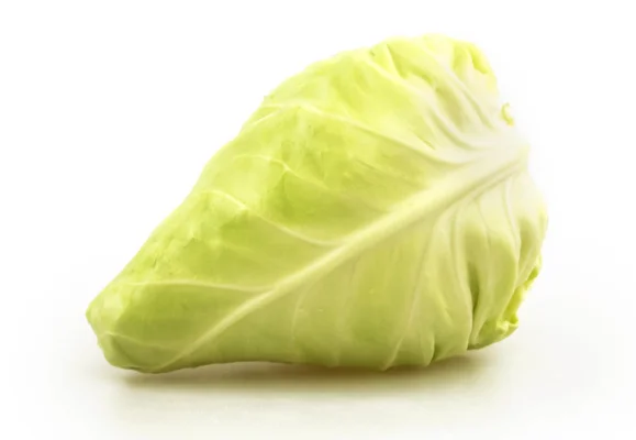 Productfoto Spitskool