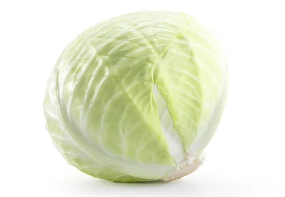 Productfoto Witte kool