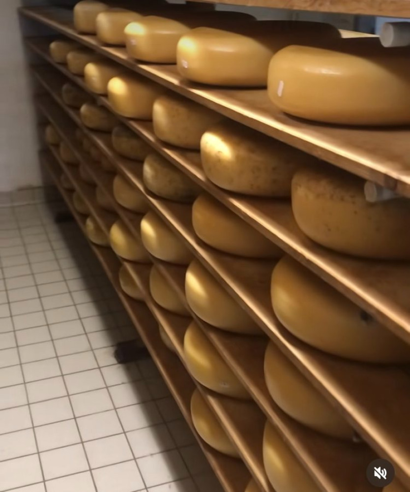 Hoofdafbeelding van Bij Ons boerderijwinkel & kaasmakerij