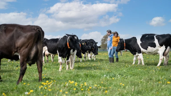 Afbeelding Bio Boerderij Keuper | Puur & Smaakvol
