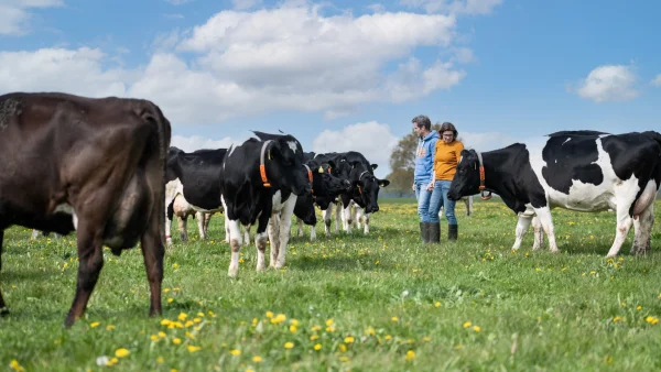 Afbeelding Bio Boerderij Keuper | Puur & Smaakvol