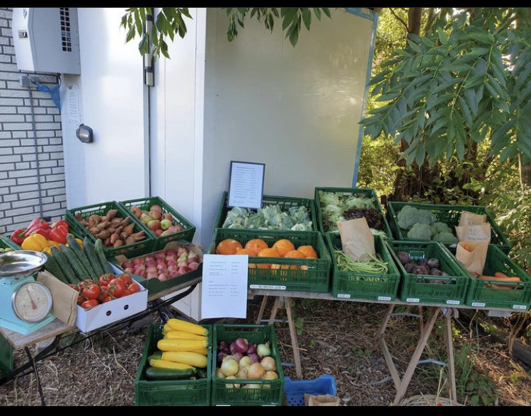 Diverse Soorten Biologisch Fruit Bij De Boer - Biologische Boerderij ...