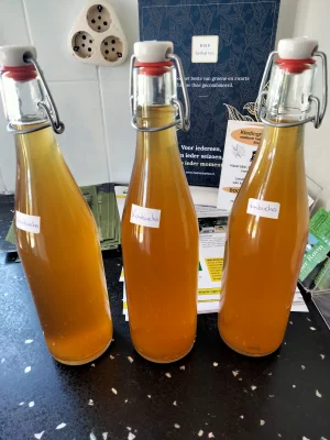 Productfoto Kombucha