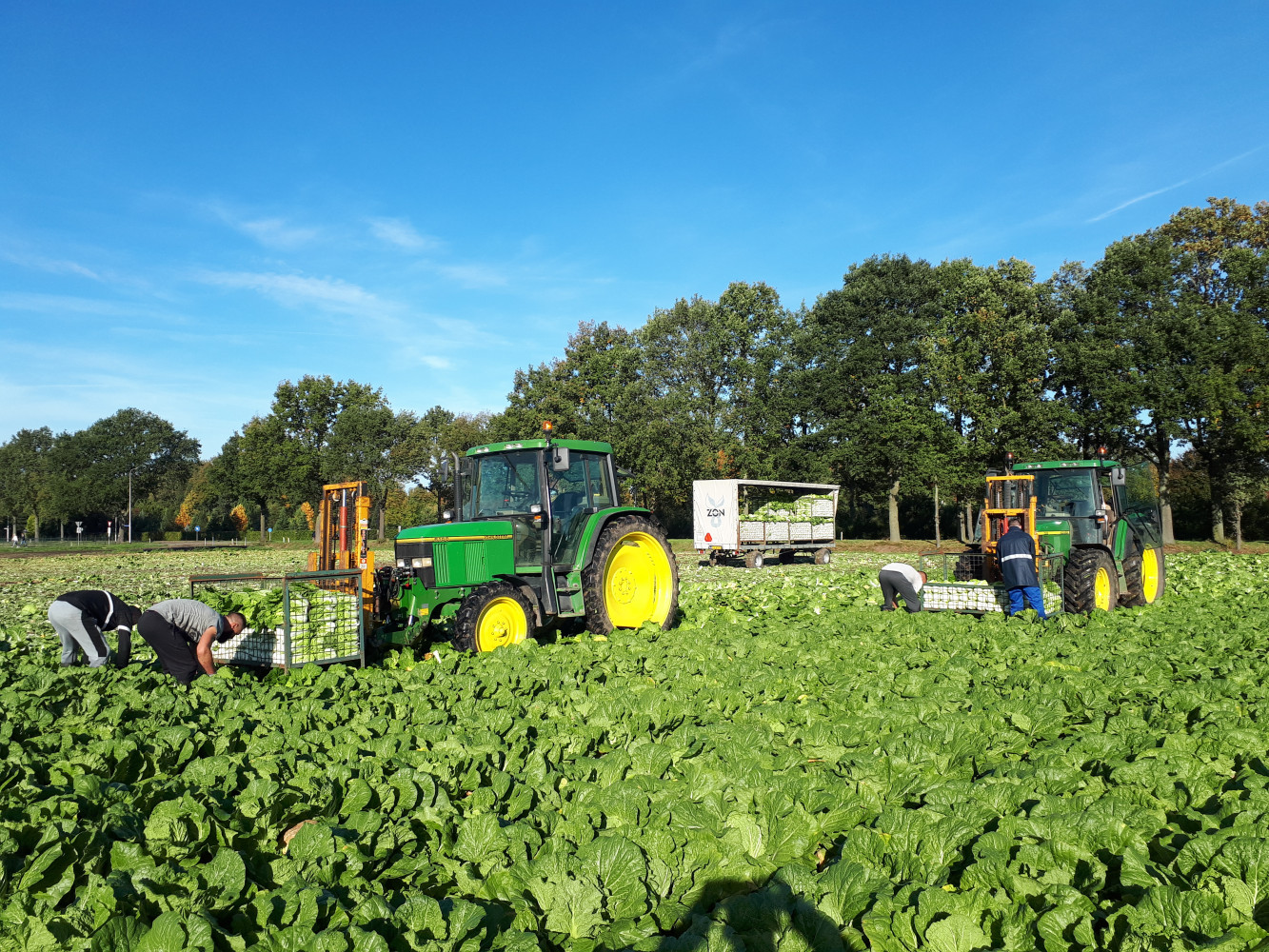 Hoofdafbeelding van Boerderij-automaat Beeren Groenteteelt