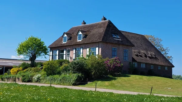 Productfoto Plakse kaas