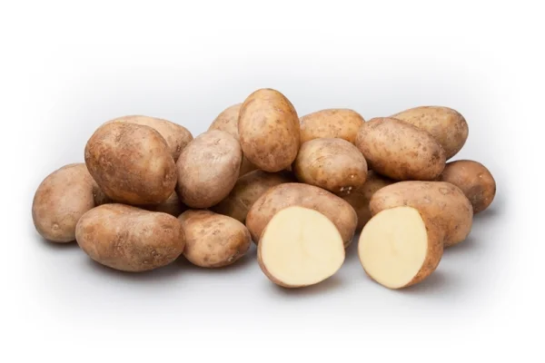 Productfoto Frieslander